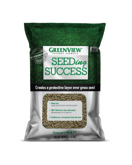 Grass Seed Success 38