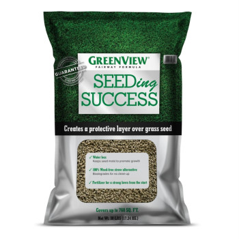 Grass Seed Success 38