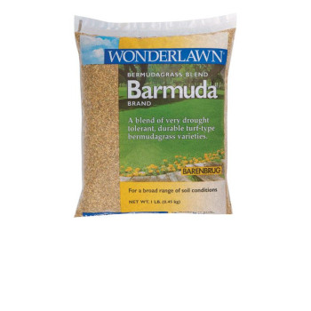 Barmuda Bermuda Grass 1