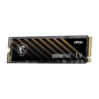 Ssd 1T|Msi Spatium M470 R