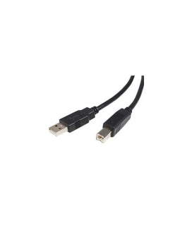 This 1Ft Usb Cable Features One Usb A Male Connector And One Usb B Male Connecto