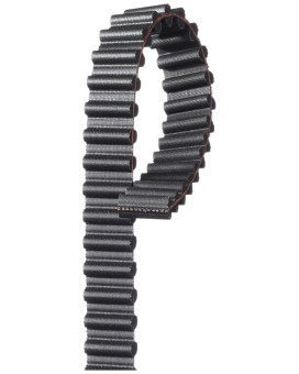 Gates T293 Premium Automotive Timing Belt