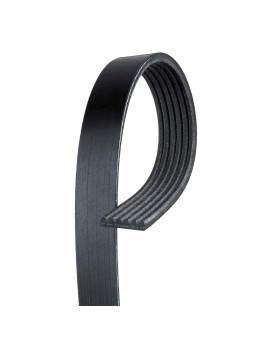 Gates K060425 Multi V-Groove Belt