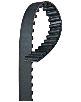 Gates T081 Premium Automotive Timing Belt