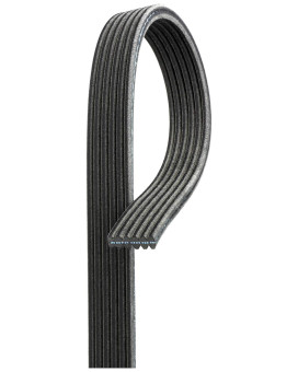 Gates DK060973 Micro-V Dual-Sided Serpentine Drive Belt