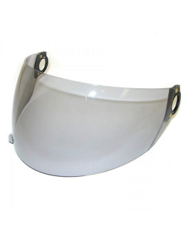 Raider Replacement Single Lens Shield (Smoke)