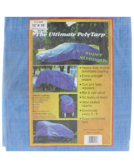 HBC Home & Hardware Products V1216 Reinforced Plastic Tarp, 12' x 16', Blue