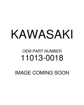 Kawasaki Element-Air Filt - 11013-0018