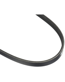 Motorcraft Drive Belt, Black