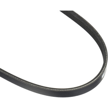 Motorcraft Drive Belt, Black