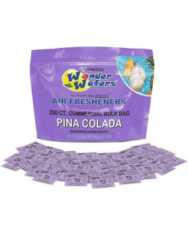 Wonder Wafers 250 Count Unwrapped Automobile Professional Use Air Fresheners Car and Truck Detail (Pina Colada)