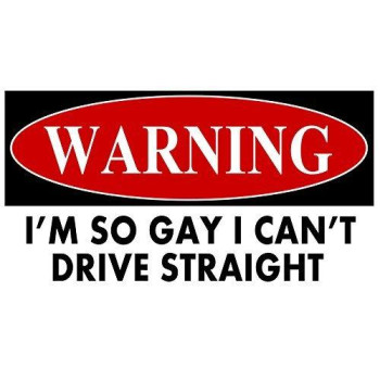 WitnyStore I'm So Gay I Can't Drive Straight Sticker - Multisurface Vinyl Decal - Durable and Waterproof Funny Gay Pride Sticker for Cars Trucks RVs Boats Windows Lockers