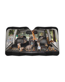 Mcphee Archie Accoutrements Auto Sunshade, Car Full of Squirrels,One Size