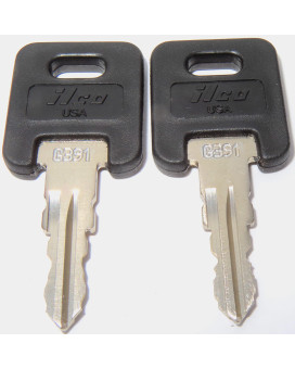 Ilco G391 Keys Global Link RVs Motorhome Trailer Keys Cut to Key/Lock Number G391 Engraved on Black Top Keys for Global Link Lock Replacement Keys G391 (Cut on Black Top Keys not Gray)