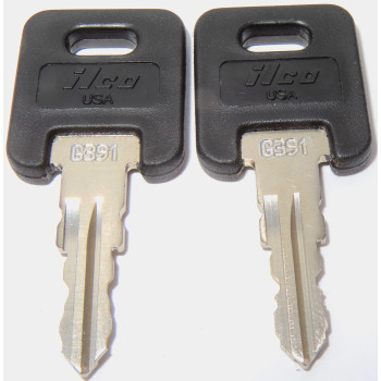 Ilco G391 Keys Global Link RVs Motorhome Trailer Keys Cut to Key/Lock Number G391 Engraved on Black Top Keys for Global Link Lock Replacement Keys G391 (Cut on Black Top Keys not Gray)