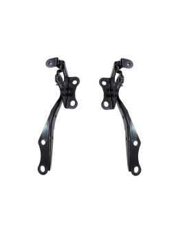 PT Auto Warehouse HH-TO6103-DP - Hood Hinge - Left/Right Pair