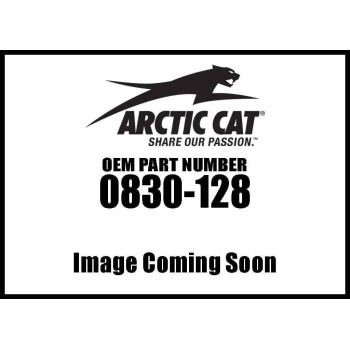 Arctic Cat ATV 650 H1 4X4 Le Gasket Magneto Cover 0830-128 New OEM