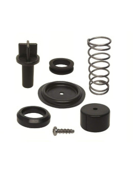 Great Lakes Memories Poppet Valve Kit for Mercury 70 75 80 90 100 115 125 Hp 3 & 4 Cylinder 2 Stroke Replaces 803060T1 Read Product Description for Exact Product Applications/Fitment