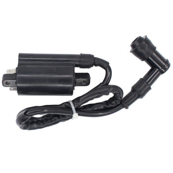 Ignition Coil for John Deere LX178 LX186 LX188 LX277 LX279 LX289 325 335 345 Lawn Mower GAS 260 265 285 320 425 445 455 F725 F911 LX172 LX173 LX176 GX345 F725 1800 GAS 240 245 Tractor