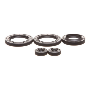 REPLACEMENTKITS.COM Brand Complete Engine Oil Seal Rebuild Kit Fits Polaris 300 400 & 400L 1994-2002