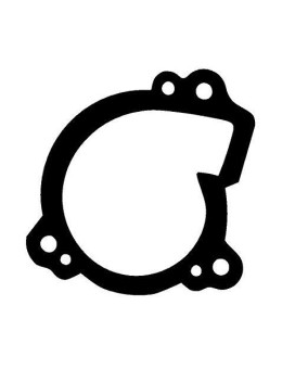 MG 331228 Water Pump Gasket for Yamaha Yfm 700 Grizzly 06-2013