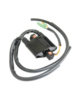 Autoparts Double Line Ignition Coil Control Module Replacement for Arctic Cat Snowmobiles 3005-381 3005-170 01-143-63