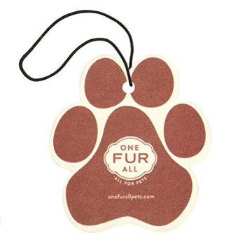 One Fur All Pet House Car Air Freshener, Pack of 4 - Non-Toxic Auto Air Freshener, Pet Odor Eliminating Air Freshener for Car, Ideal for Small Spaces, Dye Free Dog Car Air Freshener (Cucumber Mint)