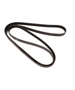 Continental Oe Technology Series 4060935 6Rib 935 Multiv Belt