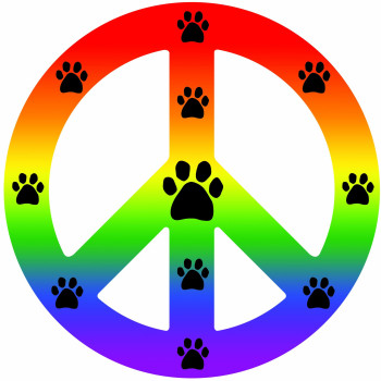 Imagine This Peace Car Magnet Sign Rainbow 412Inch By 412Inch