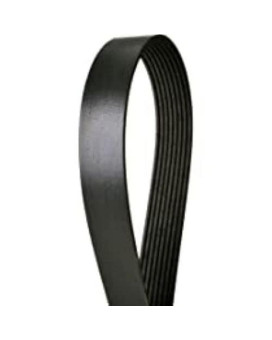 Continental 4081261 Serpentine Belt Black