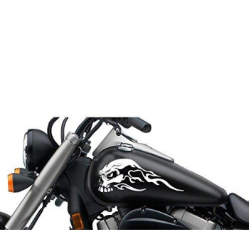 Fgd Motorcycle Gas Tank Sweeping Skull Decal Set 13X525 Universal