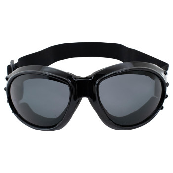 Birdz Eyewear Eagle Motorcycle Goggles Black Framepolarised Smoke Lens