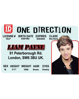 Signs 4 Fun Parody Drivers License Liam Payne Id Fake Id Novelty Card Collectible Trading Card Drivers License Novelty G