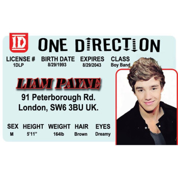 Signs 4 Fun Parody Drivers License Liam Payne Id Fake Id Novelty Card Collectible Trading Card Drivers License Novelty G