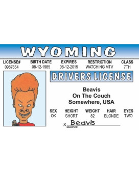 Signs 4 Fun Parody Drivers License Wy Beavis Id Fake Id Novelty Card Collectible Trading Card Drivers License Novelty