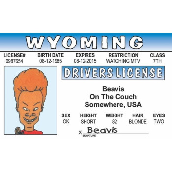 Signs 4 Fun Parody Drivers License Wy Beavis Id Fake Id Novelty Card Collectible Trading Card Drivers License Novelty