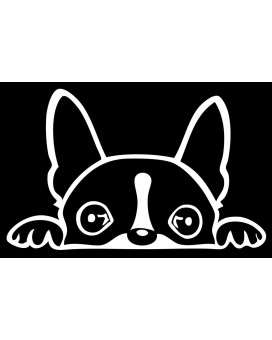 Boston Terrier Peeking Decal Vinyl Sticker Auto Car Truck Wall Laptop White 6 X 3