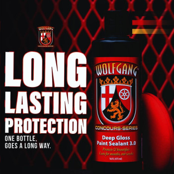 Wolfgang Deep Gloss Paint Sealant 16 Fl Oz Intense Gloss Durable Protection Easy To Apply Hydrophobic Long Lasting Wg