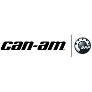 Canam New Oem 100 Pbo Performance Drive Belt Maverick X3 422280652