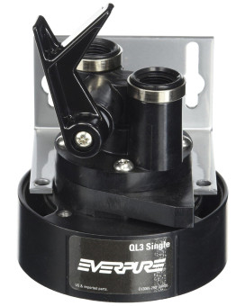 Everpure Ev925914 Ql3 Single Filter Head With Bracket Shutoff Valve And 38 Inch Npt Threads