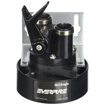 Everpure Ev925914 Ql3 Single Filter Head With Bracket Shutoff Valve And 38 Inch Npt Threads