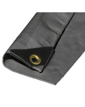 12X24 Extra Heavy Duty 12 Mil Silver Tarp 3 Ply Coated Reinforced Canopy 6 Oz 3 Layer Finished Size 116 X 236