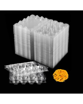 50 Pcs Quail Egg Cartons Plastic Bulk 12 Grids Small Egg Clear Storage Holders With Lids And Rubber Band Stackable Quail Eggs Ca