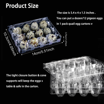 50 Pcs Quail Egg Cartons Plastic Bulk 12 Grids Small Egg Clear Storage Holders With Lids And Rubber Band Stackable Quail Eggs Ca