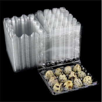 50 Pcs Quail Egg Cartons Plastic Bulk 12 Grids Small Egg Clear Storage Holders With Lids And Rubber Band Stackable Quail Eggs Ca