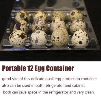 Loving Basso 100 Pcs Quail Egg Cartons Plastic Bulk 12 Grids Small Egg Clear Storage Holders With Lids And Rubber Band Reusable