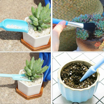 Cfhallez 21 Pieces Succulent Plants Tools Gardening Succulent Transplanting Hand Tool Succulent Garden Pad Miniature Planting