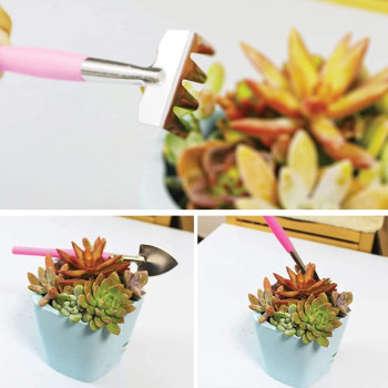 Cfhallez 21 Pieces Succulent Plants Tools Gardening Succulent Transplanting Hand Tool Succulent Garden Pad Miniature Planting