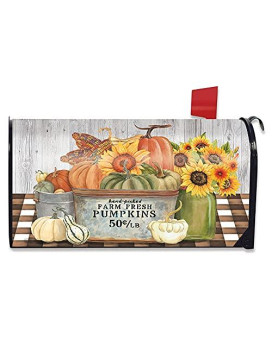 Briarwood Lane Farm Fresh Bushel Autumn Magnetic Mailbox Cover Pumpkins Standard