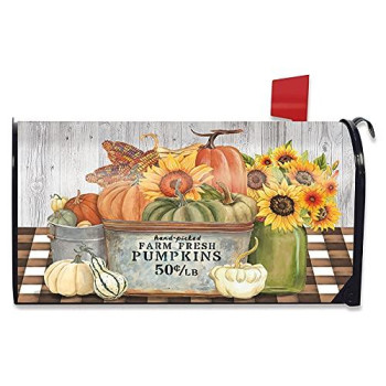 Briarwood Lane Farm Fresh Bushel Autumn Magnetic Mailbox Cover Pumpkins Standard